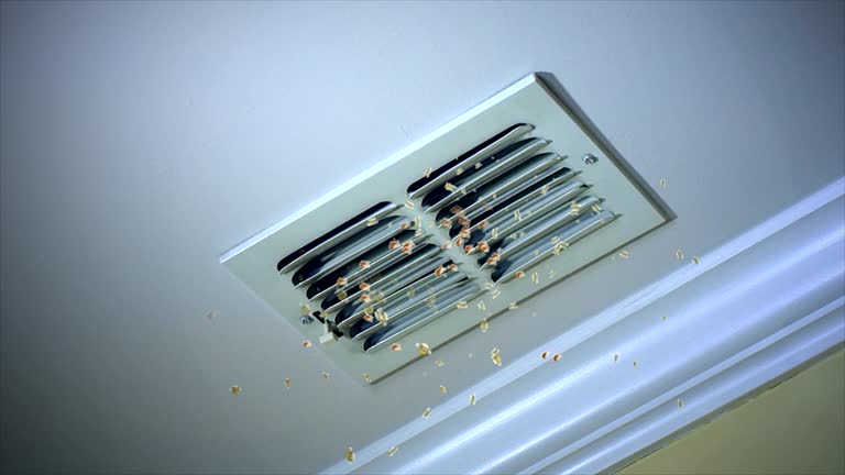 Best Air Vent Cleaning Services  in West Richland, WA